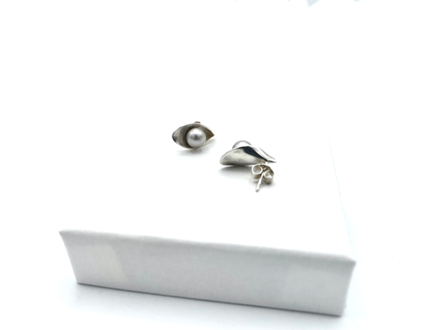 Puces d’oreilles Arum